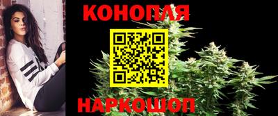 не бодяженный Гай