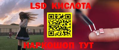 не бодяженный Гай