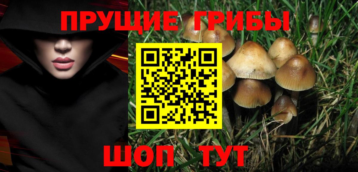 Галлюциногенные грибы MAGIC MUSHROOMS Десногорск
